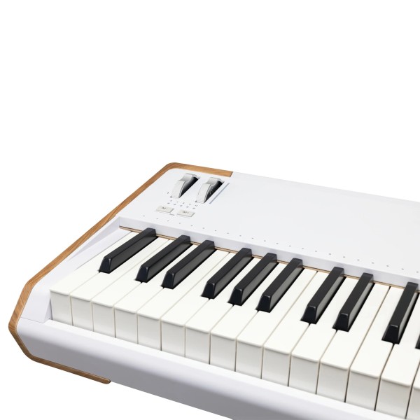 Синтезатор Arturia AstroLab 88 Синтезатор Arturia AstroLab 88