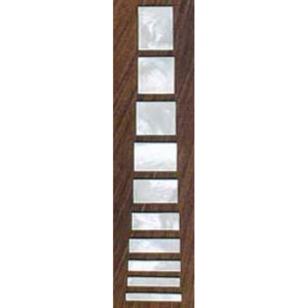 Маркери ладів PAXPHIL DK30