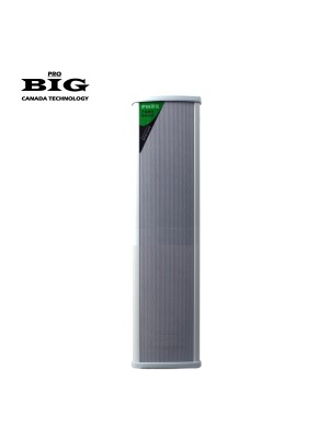 Всепогодна настінна акустична система BIG TOWER120 + 4 COXIAL TWEETERS
