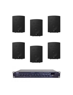 Комплект звука DV audio LA1206PB5B для помещения до 160 м.кв.