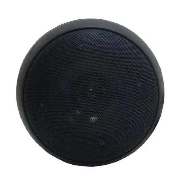 Стельовий підвісний гучномовець L-Frank Audio HSR305TB Ball 5" Black