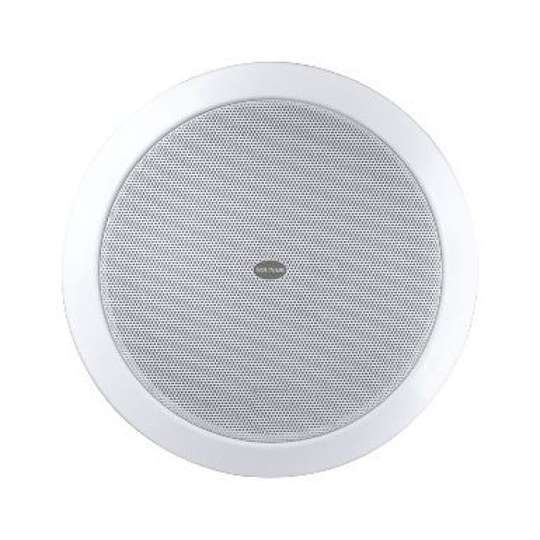 Стельовий динамік Younasi Y-506, 5 ", 3-6Вт, 100В