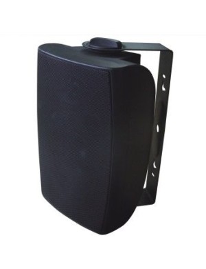 Настенный громкоговоритель Younasi Y-318G, 5", 30Вт