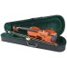Скрипка PARKSONS CV101 3/4