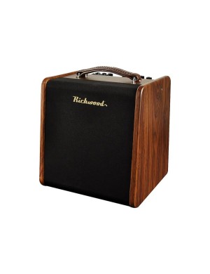 Комбопідсилювач для акустичних інструментів Richwood RPF-65