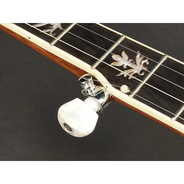 Банджо блюграс Richwood RMB-905 Банджо блюграс Richwood RMB-905