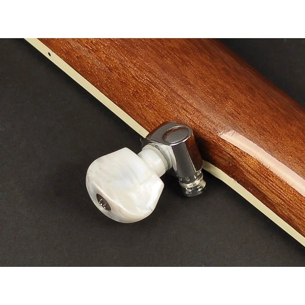 Банджо блюграс Richwood RMB-905 Банджо блюграс Richwood RMB-905