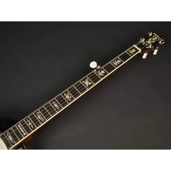 Банджо блюграс Richwood RMB-905 Банджо блюграс Richwood RMB-905