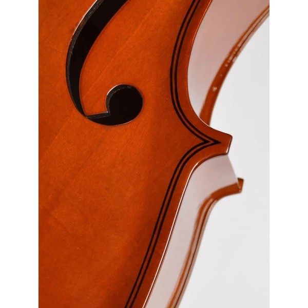 Віолончель Leonardo LC-1044 (4/4) (комплект) Віолончель Leonardo LC-1044 (4/4) (комплект)