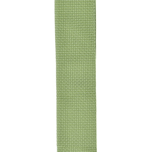 Ремінь для гітари PLANET WAVES PWS107 Polypropylene Guitar Strap, Green
