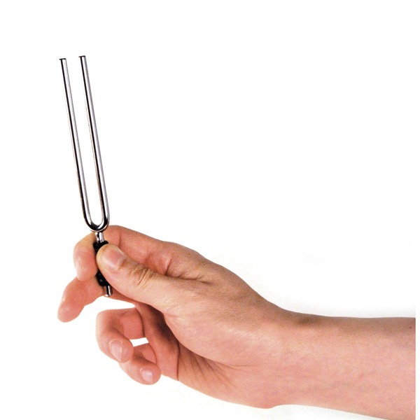 Камертон D'ADDARIO PWTF-A Tuning Fork (A)