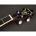 Банджо Richwood RMB-405