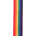 Ремінь для гітари PLANET WAVES PWS111 Polypropylene Guitar Strap, Rainbow
