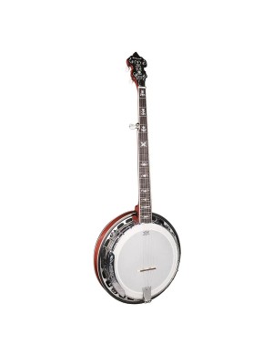 Банджо блюграсс Richwood RMB-905-A