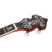 Банджо блюграс Richwood RMB-905-A
