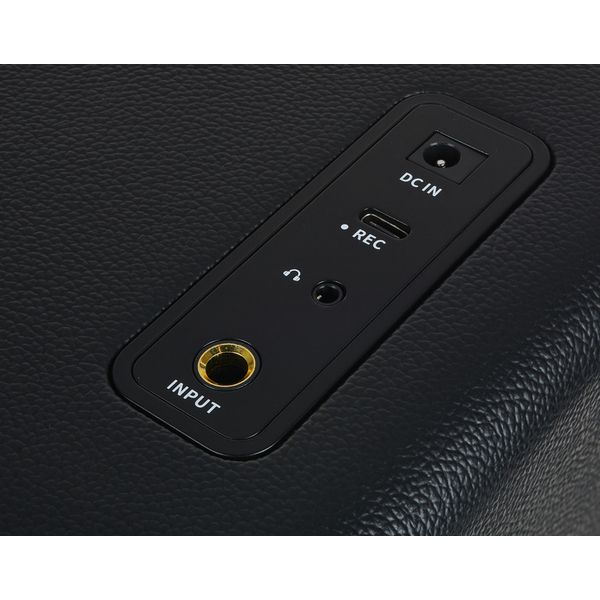 Гітарний комбопідсилювач MOOER HORNET 15I Black