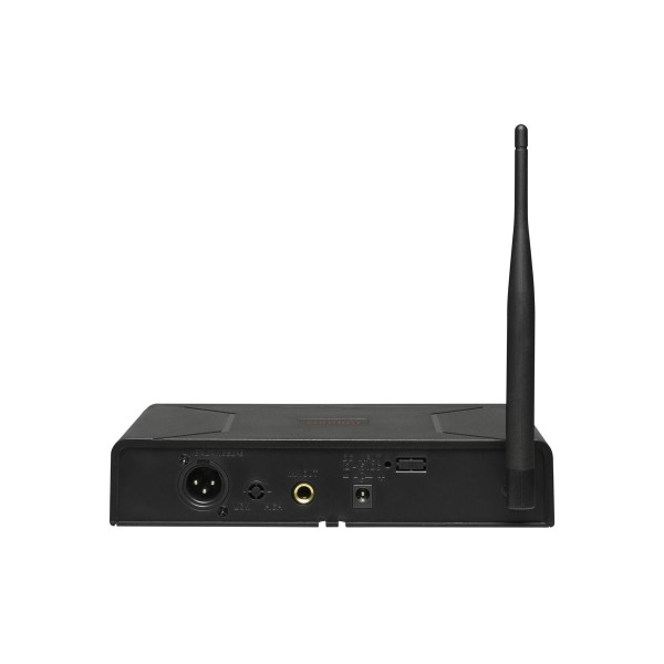 Радіосистема DV audio PGX-124 MKII