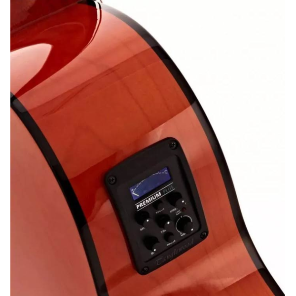 Електроакустична гітара TANGLEWOOD TA4 CE HN Електроакустична гітара TANGLEWOOD TA4 CE HN