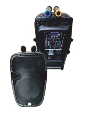 Портативная акустическая система DJ Lights PBS 1201