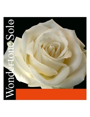 Струна Мі Pirastro Wondertone Solo 4/4 для скрипки