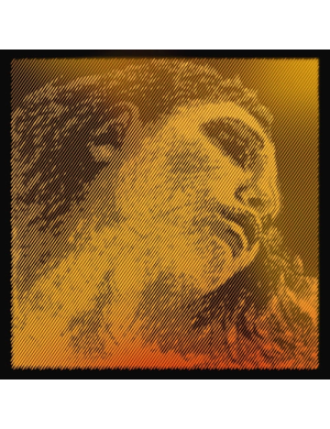 Комплект струн Pirastro Evah Pirazzi Gold 4/4 для скрипки Соль-срібло (Мі-кулька)