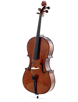 Виолончель STENTOR +1102/E STUDENT I CELLO OUTFIT 1/2
