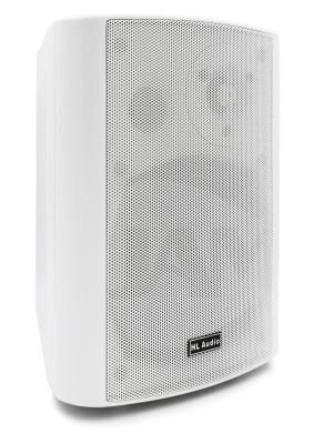 Настенный громкоговоритель HL AUDIO TH40