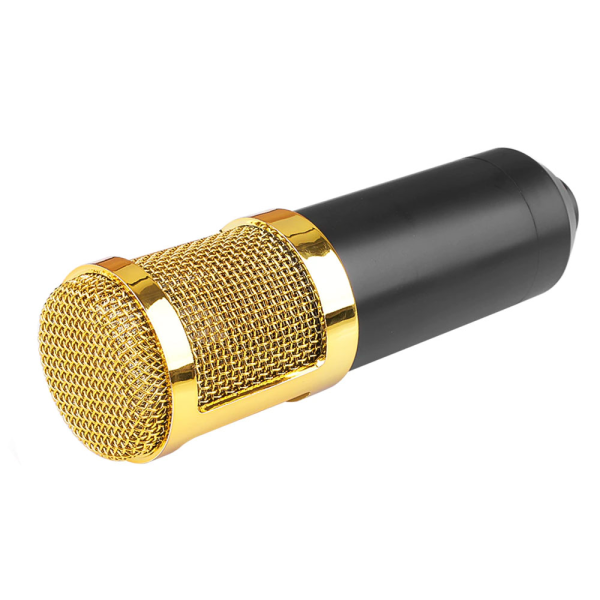 Комплект звукозапису HL AUDIO BM-800 Комплект звукозапису HL AUDIO BM-800