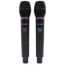 Радіосистема із двома ручними мікрофонами HL AUDIO DG-2000