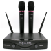Радіосистема із двома ручними мікрофонами HL AUDIO DG-2000