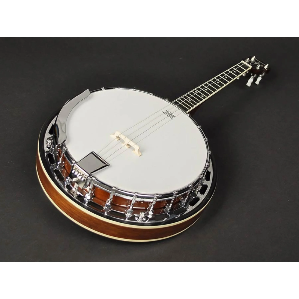 Банджо Richwood RMB-604-SS Банджо Richwood RMB-604-SS