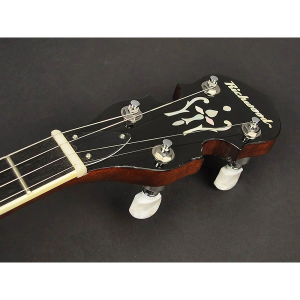 Банджо Richwood RMB-604-SS Банджо Richwood RMB-604-SS