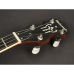 Банджо Richwood RMB-604-SS