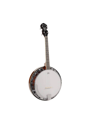 Банджо Richwood RMB-604-SS