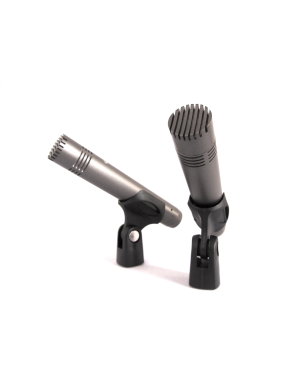 Микрофонный набор Prodipe A1 DUO