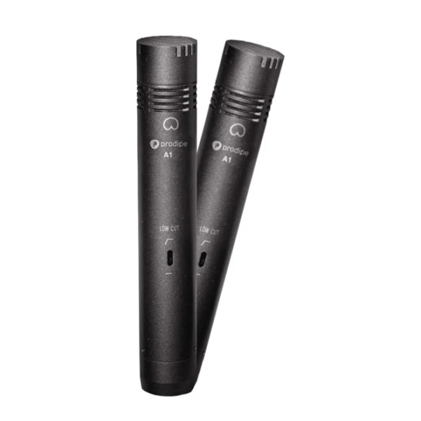 Мікрофонний набір Prodipe A1 DUO Мікрофонний набір Prodipe A1 DUO