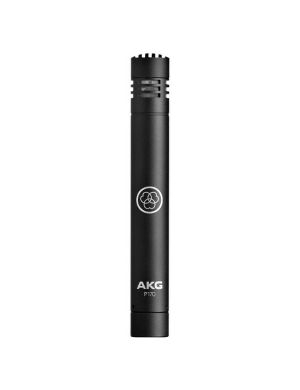 Микрофон инструментальный конденсаторный AKG Perception P170, малая диафрагма Микрофон инструментальный конденсаторный AKG Perception P170, малая диафрагма