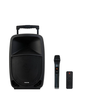 Портативная акустическая система с проигрывателем USB/SD/FM/BT Fonestar MALIBU-310