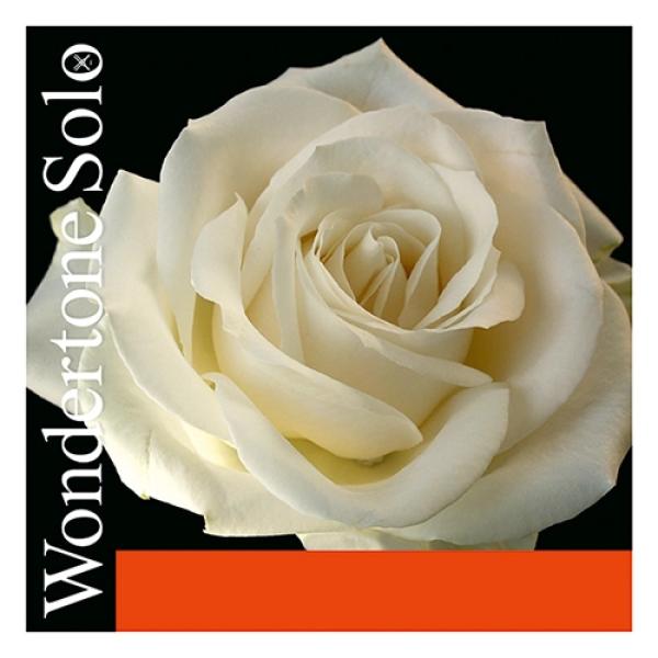 Комплект струн Pirastro Wondertone Solo 4/4 для скрипки (Мі-кулька)