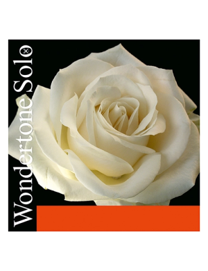 Струна Ля для скрипки Pirastro Wondertone Solo 4/4 (синтетика)