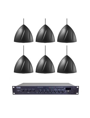 Комплект звука DV audio LA1206PS5B для помещения до 160 м.кв.