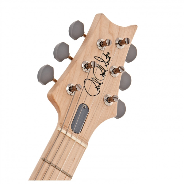 Електрогітара PRS SILVER SKY (Frost) Електрогітара PRS SILVER SKY (Frost)