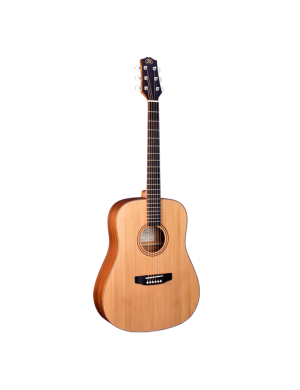 Акустична гітара SX DG30R+