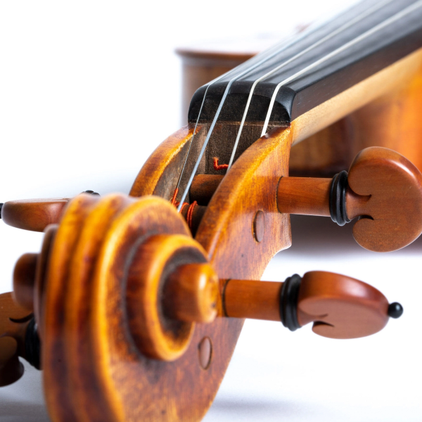 Комплект струн для скрипки Thomastik Dynamo 4/4