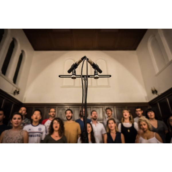 Пара інструментальних мікрофонів sE Electronics sE8 omni Пара інструментальних мікрофонів sE Electronics sE8 omni