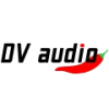 DV audio